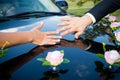 Hands of newlyweds with rings close up. Wedding concept. Selective focus Royalty Free Stock Photo