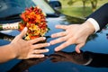 Hands of newlyweds with rings close up. Wedding concept. Selective focus Royalty Free Stock Photo