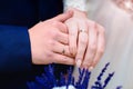 Hands of newlyweds with rings over blue flowers