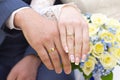 Hands of the newlyweds with wedding rings. Royalty Free Stock Photo