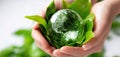 The hands nurturing a glass globe surrounded by vibrant green leaves AI generated image Royalty Free Stock Photo