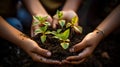 Hands nurturing growth with small plant in fertile soil for environmental sustainability