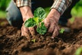 Hands nurturing a young plant in fertile soil with care and growth.