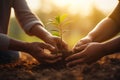 Hands nurturing a young plant together. Concept of growth and care