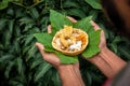 Hands offering food placed on a green leaf during a Hindu Ritual in the month of Sharada. Indian Customs and Traditional