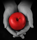 Hands offering red apple