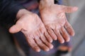 Hands of the old woman Royalty Free Stock Photo