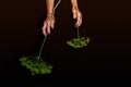 Hands of old woman with disease of polyarthritis hold umbrellas of branch of dill on black background Royalty Free Stock Photo