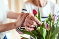 Hands of an old and young woman putting flowers in a vase. Royalty Free Stock Photo