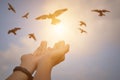 Hands open palm up worship with birds flying over sunrise background. Royalty Free Stock Photo