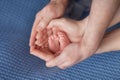 Hands of parents hold the feet of a newborn baby, parental love Royalty Free Stock Photo