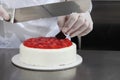 Hands pastry chef prepares a cake, cover with icing and decorate with strawberries, works on a stainless steel kitchen