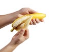 Hands peeling banana, isolated on white background Royalty Free Stock Photo