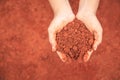 Hands of people holding soil to grow young plant. Ecology and gr