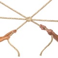 Hands of people pulling the rope on white background. Competition concept Royalty Free Stock Photo