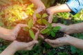 Hands People Team Work family Cupping young Plant Nurture Environmental and reduce global warming earth. Royalty Free Stock Photo