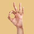 Hands, perfect and ok sign of person in support, vote or approve decision on color background. Closeup fingers, yes and