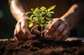 hands of a person planting a plant