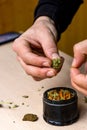 Hands of person preparing marijuana in a grinder