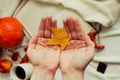 Hands with pine yellow mapleleaf on the background of an autumn still life of a cup of tea pumpkins apples and yellow leaves.