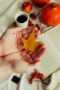 Hands with pine yellow mapleleaf on the background of an autumn still life of a cup of tea pumpkins apples and yellow leaves. Royalty Free Stock Photo