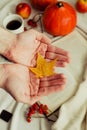 Hands with pine yellow mapleleaf on the background of an autumn still life of a cup of tea pumpkins apples and yellow leaves.