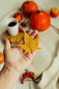 Hands with pine yellow mapleleaf on the background of an autumn still life of a cup of tea pumpkins apples and yellow leaves.