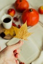 Hands with pine yellow mapleleaf on the background of an autumn still life of a cup of tea pumpkins apples and yellow leaves.