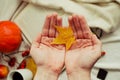 Hands with pine yellow mapleleaf on the background of an autumn still life of a cup of tea pumpkins apples and yellow leaves.