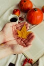 Hands with pine yellow mapleleaf on the background of an autumn still life of a cup of tea pumpkins apples and yellow leaves.