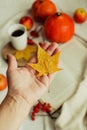 Hands with pine yellow mapleleaf on the background of an autumn still life of a cup of tea pumpkins apples and yellow leaves.