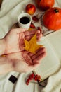 Hands with pine yellow mapleleaf on the background of an autumn still life of a cup of tea pumpkins apples and yellow leaves.