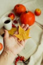 Hands with pine yellow mapleleaf on the background of an autumn still life of a cup of tea pumpkins apples and yellow leaves.