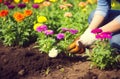 Hands planting flowers garden. Generate Ai