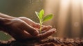 Hands Planting A Seedling Into The Ground. Drop Of Water. Plant Growing, Green Vision Of Life, Ecological. Generative AI