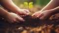 hands planting seeds garden. Growth concept.