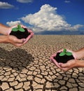 hands planting a tree. Complete soil into the land, but the droug Royalty Free Stock Photo