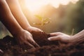 Hands planting tree. Generate Ai Royalty Free Stock Photo