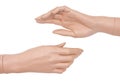 Hands of plastic mannequin