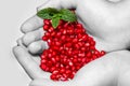 Hands with pomegranate seeds Royalty Free Stock Photo