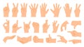 Hands poses. Cartoon hand gestures count on fingers, pointing, handshake, thumb up like and dislike. Human palm vector