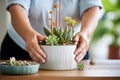 hands potting a succulent in a modern ceramic planter