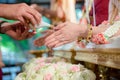 Hands pouring blessing water into bride`s bands, Thai wedding. Royalty Free Stock Photo