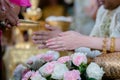 Hands pouring blessing water into bride`s bands, Thai wedding.Wedding ceremony in Thailand Royalty Free Stock Photo