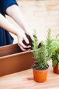 Hands pouring soil on a pot