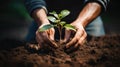 Hands Preparing To Plant A Small Tree In The Garden