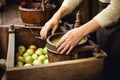 hands pressing fresh apples using a cider press