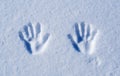 Hands print on clear snow in sunlight