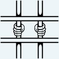 Hands of the prisoner on lattice