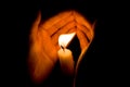 Hands protect bright candlelight in the darkness.